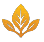 SAPA Logo
